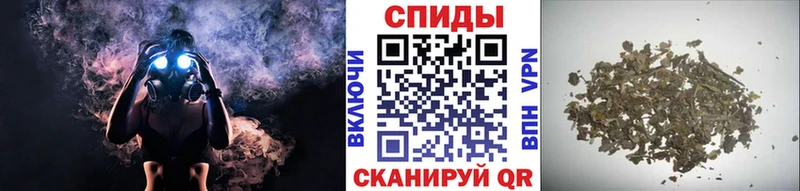 Купить  Озёры  Бутират бутик 