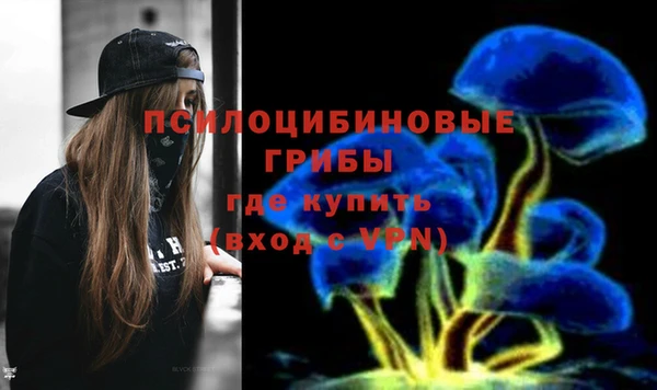 МДМА Елизово