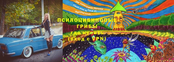 марки lsd Елабуга