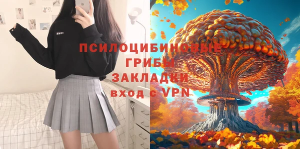 МДМА Елизово