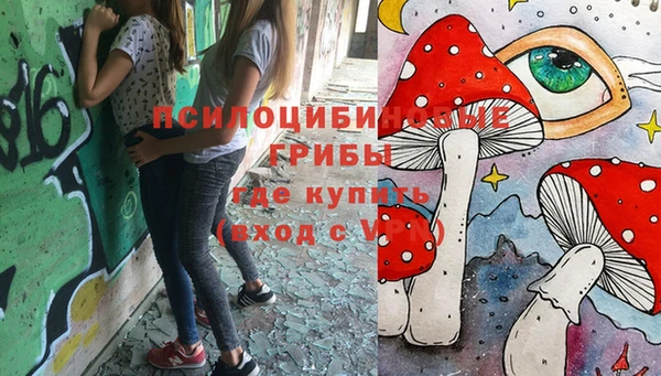 МДМА Елизово