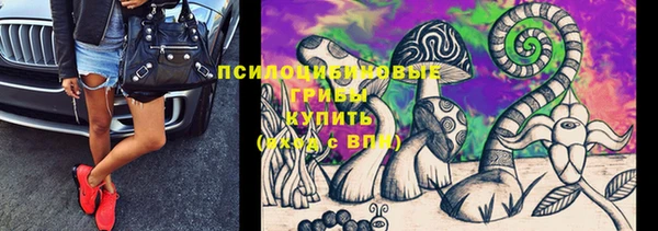 мескалин Ельня