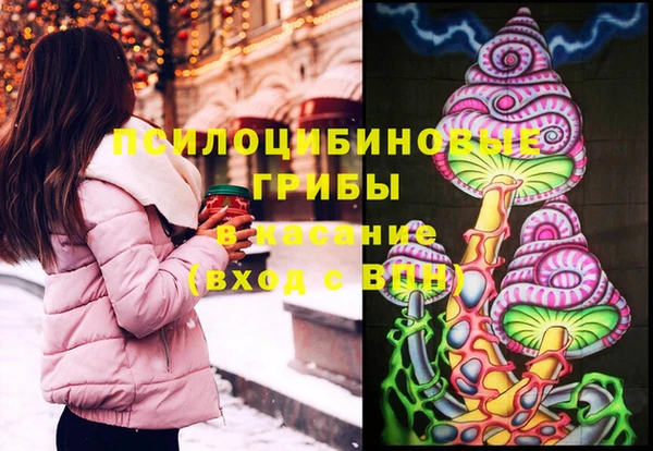 mdpv Строитель