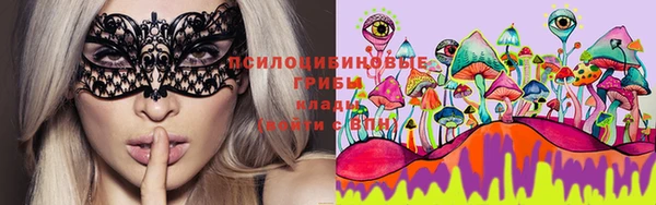 мескалин Ельня
