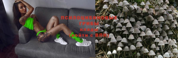 МДМА Елизово