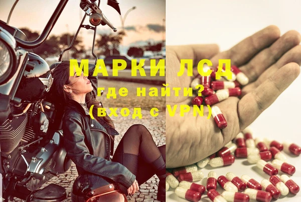 мескалин Ельня