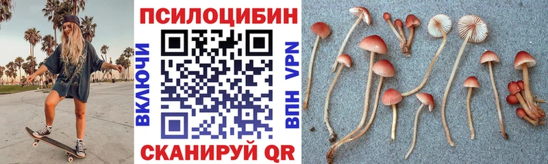Купить где  Озёры  Галлюциногенные грибы Magic Shrooms 